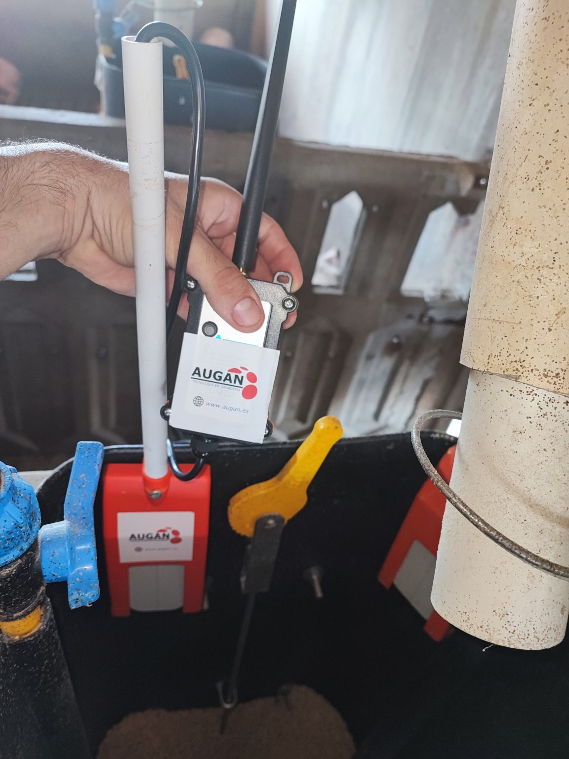 AUGAN Innovación y Sostenibilidad Sector Porcino España