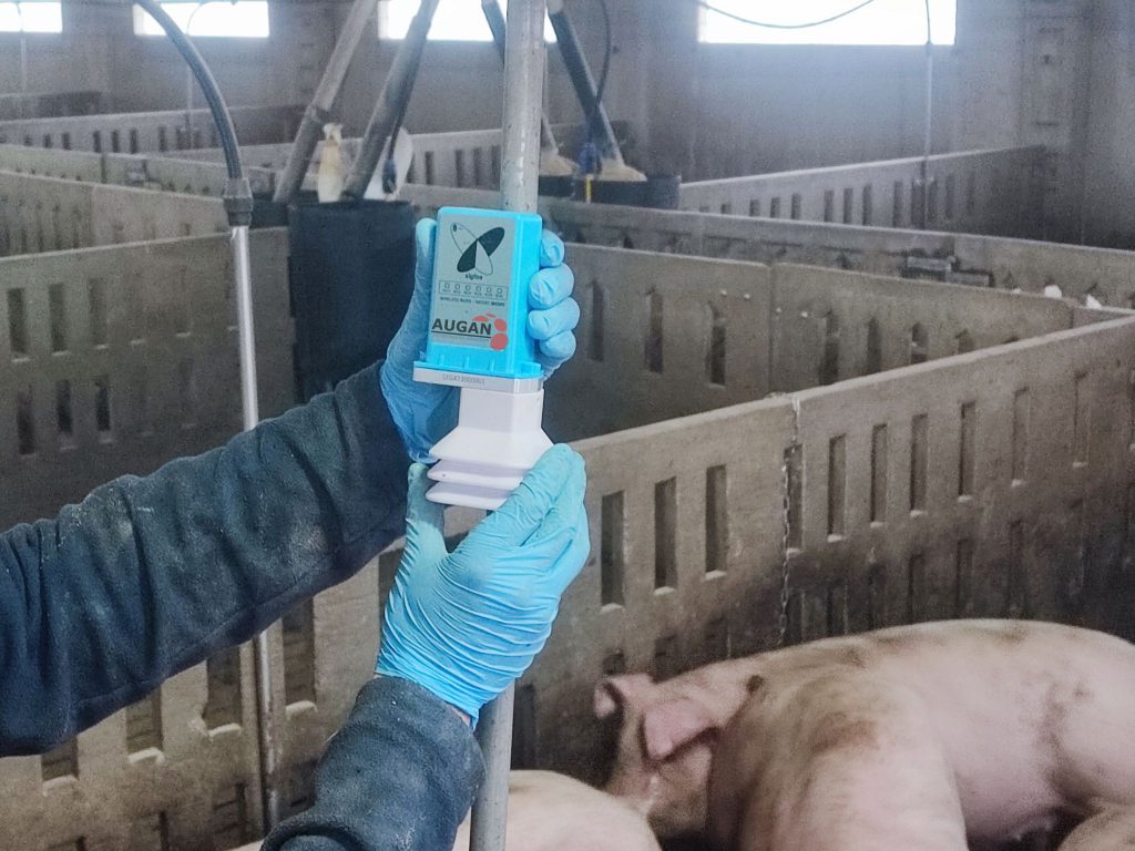 Tecnología aplicada al bienestar animal